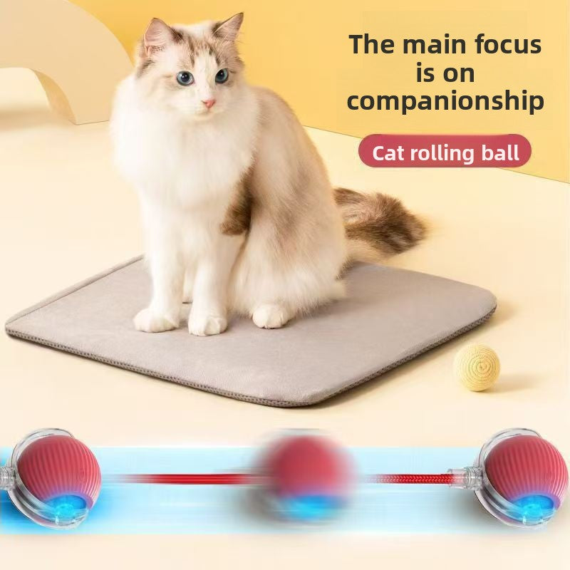 Pelota interactiva automática para gatos y perros