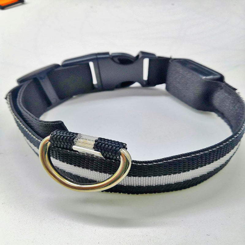 Collar LED recargable para perros