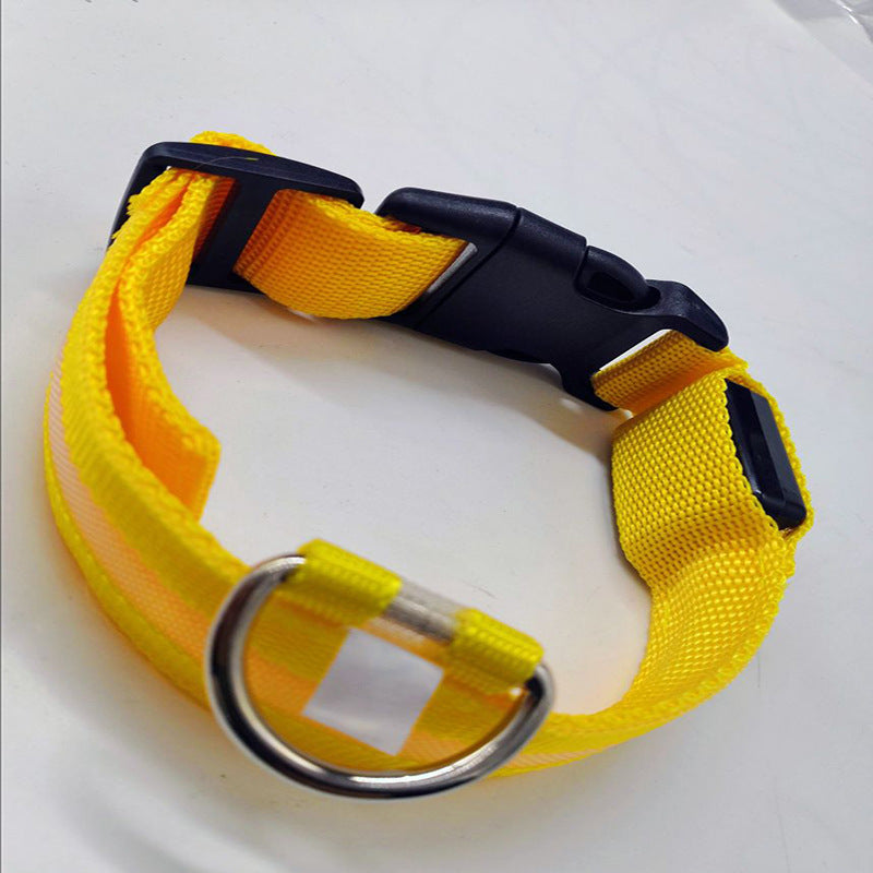 Collar LED recargable para perros