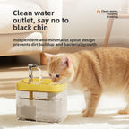 Automatic Pet Water Dispenser with Filtration