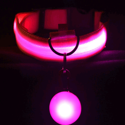 Rechargeable LED Dog Collar