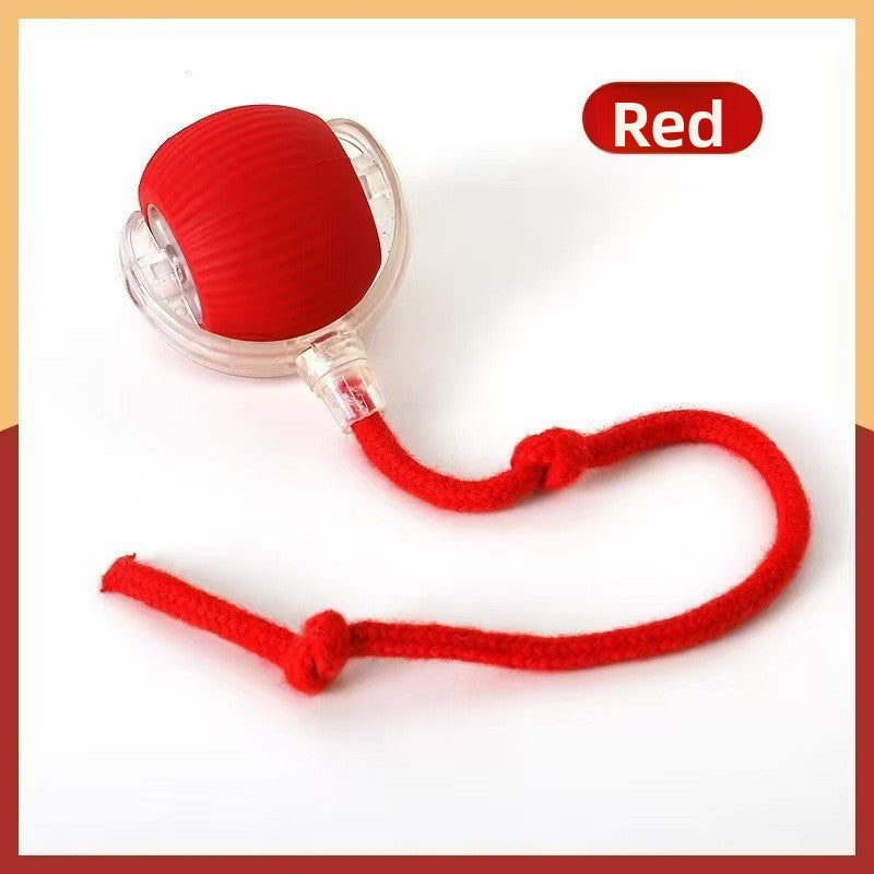 Pelota interactiva automática para gatos y perros