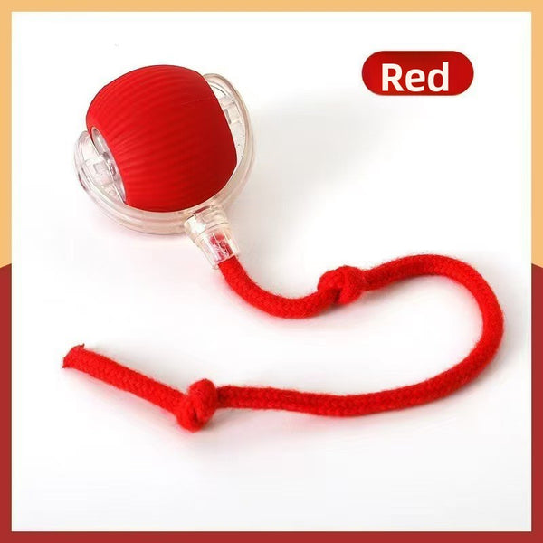 Pelota interactiva automática para gatos y perros