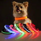 Collar LED recargable para perros